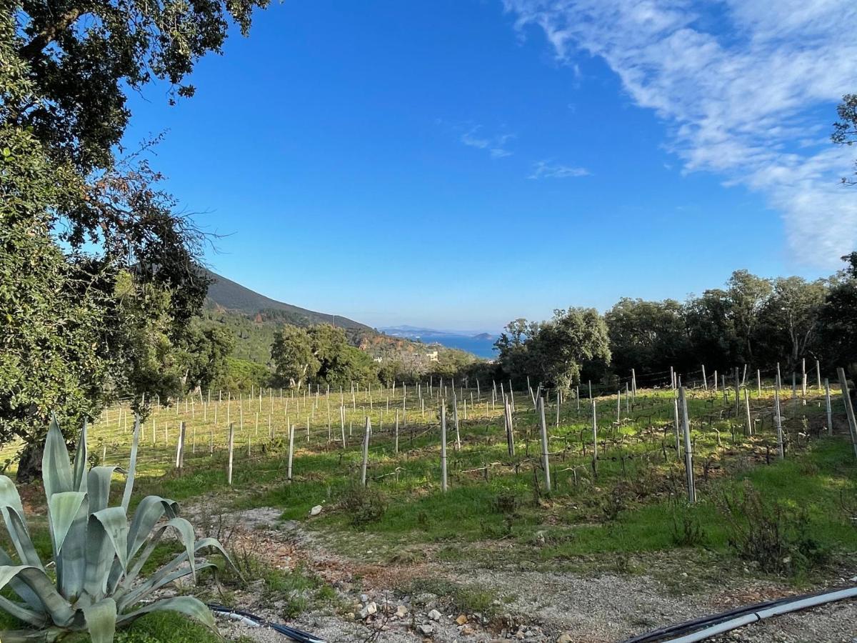 Agriturismo Le Sughere Рио Марина Екстериор снимка